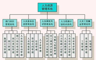 人力資源管理信息系統 企業數字化管理的核心引擎